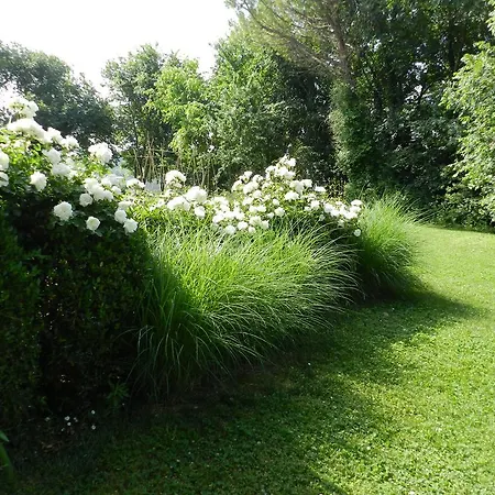 Pranavita, B&B Naturale *