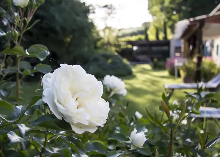 Daire Pranavita, B&B Naturale